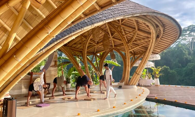 Bali Wellness Retreat - Tropical Healing Sanctuary in Paradise